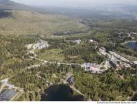 background nature forest High Tatras 0014